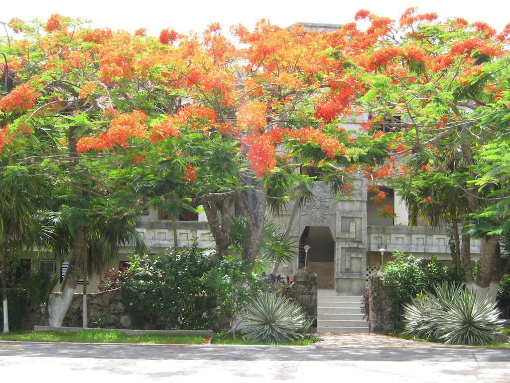 Condumel Appartement Cozumel Kamer foto